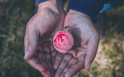 Keeping Healthy Boundaries with your Senior Leadership